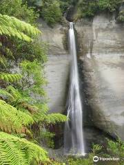 Eastern Taranaki Experience