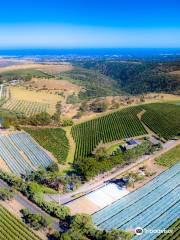 Chapel Hill Winery Tasting Room