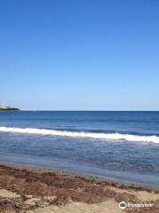 Hampton Beach State Park