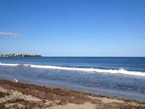 ハンプトン・ビーチ州立公園