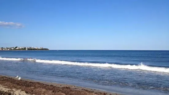 Hampton Beach State Park