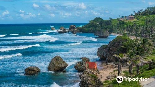 Bathsheba Beach