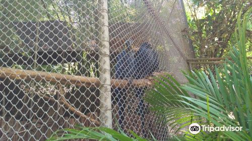 Parque Zoobotanico Do Salvador Da Bahia