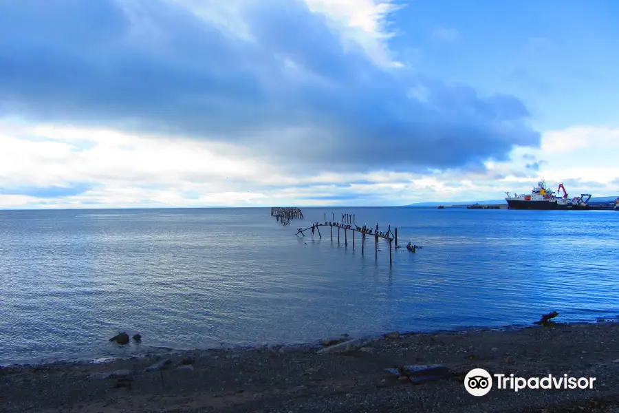 Muelle de Carga