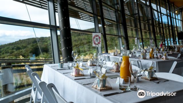 Orokonui Ecosanctuary - Te Korowai o Mihiwaka