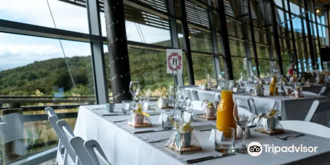 Orokonui Ecosanctuary