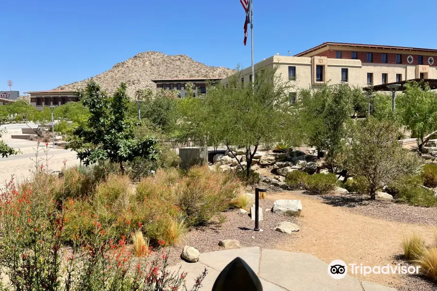 Centennial Museum and Chihuahuan Desert Gardens