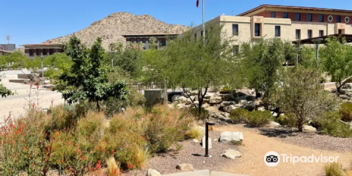 UTEP Centennial Museum and Chihuahuan Desert Gardens
