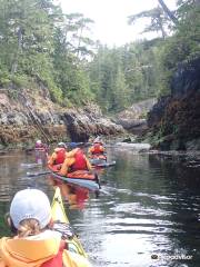 Kingfisher Wilderness Adventures - Sea Kayaking Tours