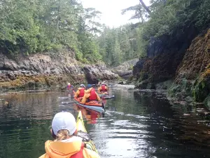 Kingfisher Wilderness Adventures - Sea Kayaking Tours