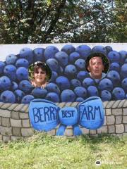 Berry Best Farm Blueberry Picking