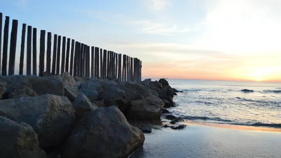 Playa del Perellonet