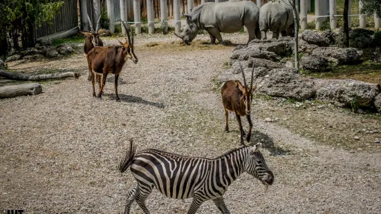 Zoo Schmiding / Museum - meeting of cultures