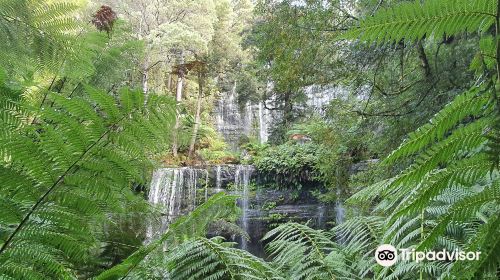 Horseshoe Falls