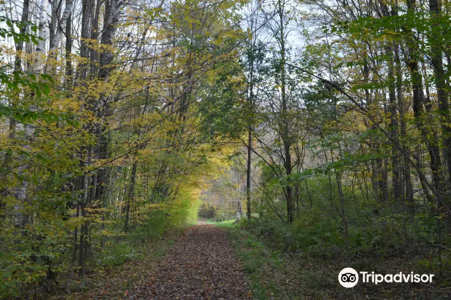 Hopkins Memorial Forest