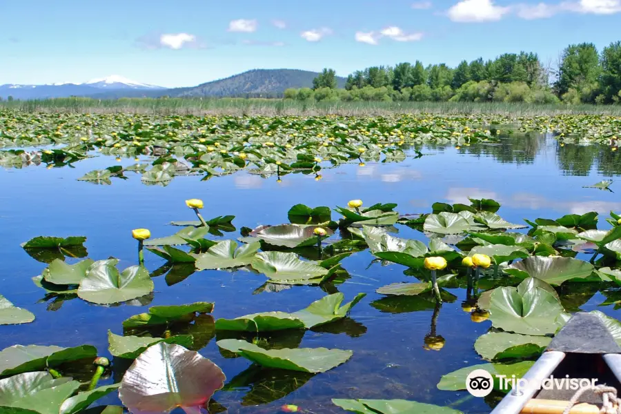 Wood River Wetland