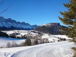 Area Skiable De Gresse En Vercors - Ski Resort