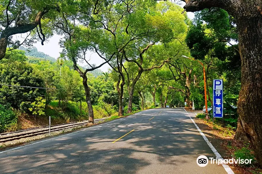 Jiji Green Tunnel