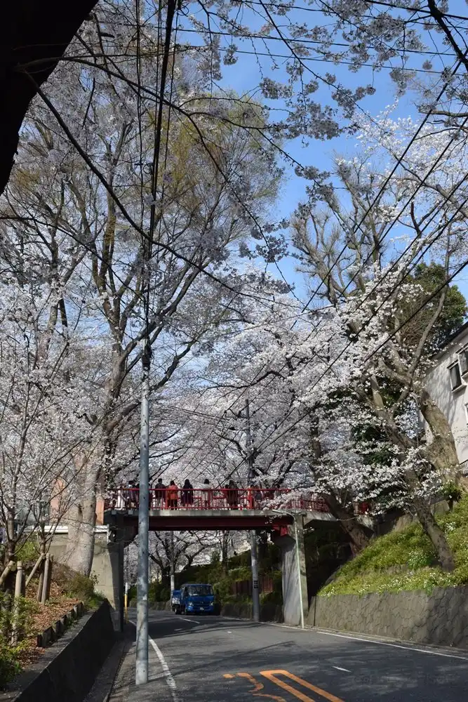 Отели рядом с достопримечательностью «Sakurazaka»