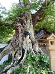 神魂伊能知奴志神社(命主社)