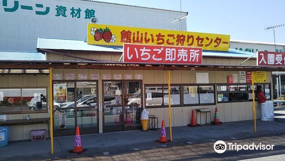 Tateyama Strawberry Picking Center