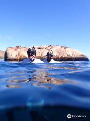 Cape Town Freediving