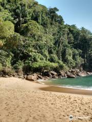 Praia do Cedro