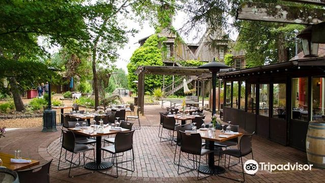 Russian River Vineyards