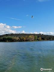 Isola Maggiore