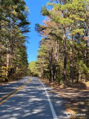 Pig Trail National Scenic Byway