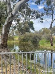 Kaniva Wetlands & Fauna Park