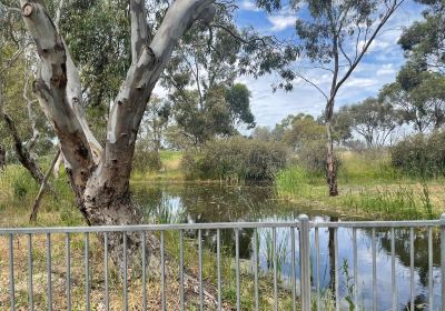 Lions Club Fauna & Wetlands Park