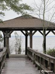 Lake Waccamaw State Park