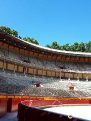 Pamplona Bullring