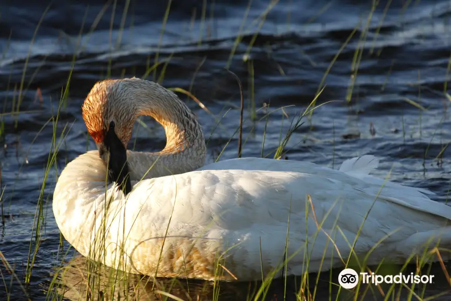 Seney National Wildlife Refuge