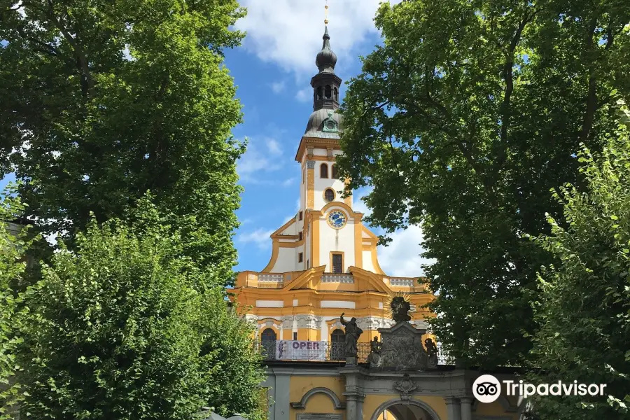 Stiftskirche St. Marin