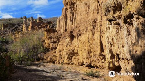 Desierto de la Tatacoita