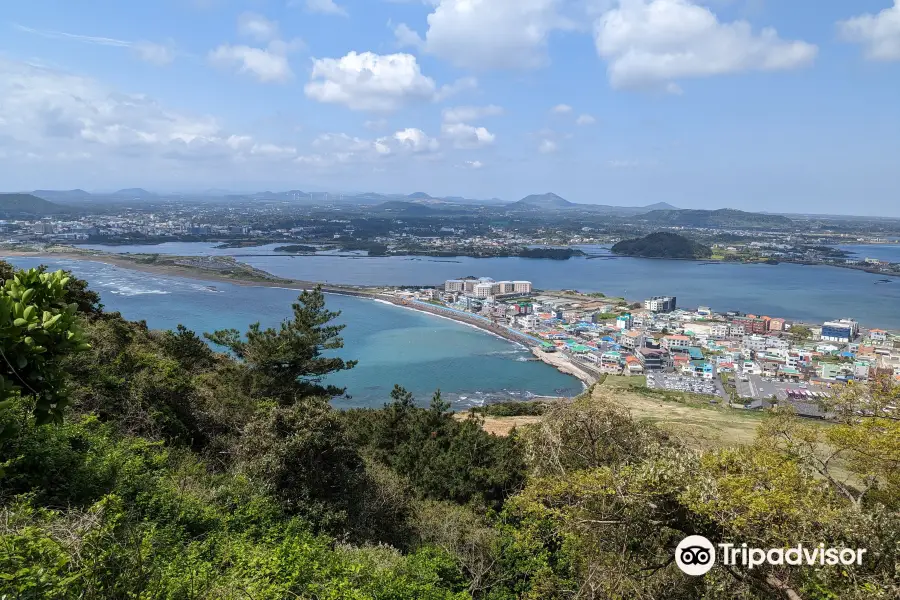 南山護國公園