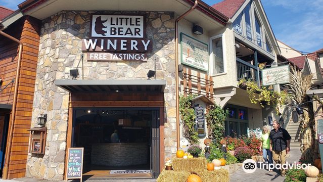 Little Bear Winery