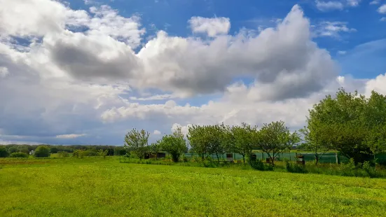 Le Safran du Nivernais Morvan