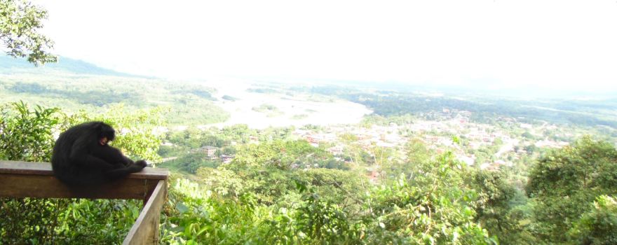 Machia Park