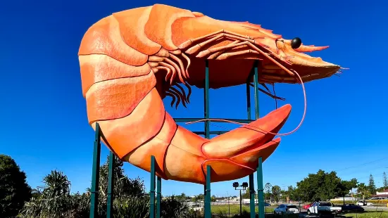 Big Prawn