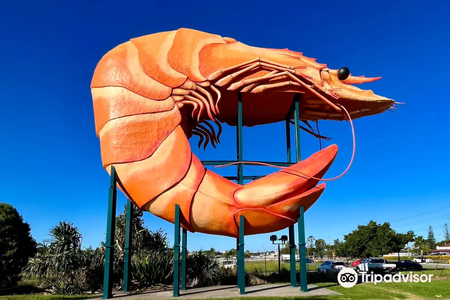 Big Prawn