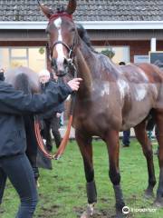 Market Rasen Racecourse