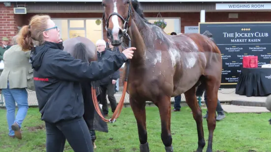 Market Rasen Racecourse