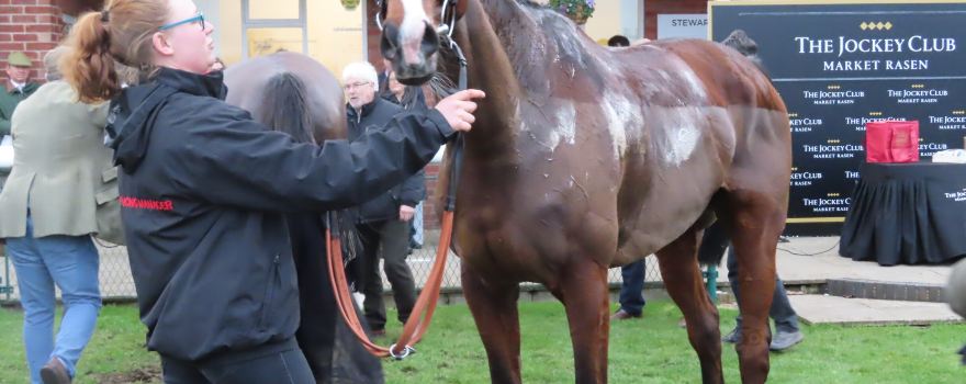 Market Rasen Racecourse