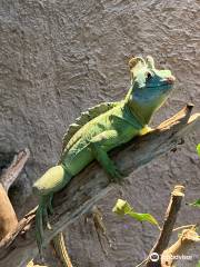 Malmös Reptile Center