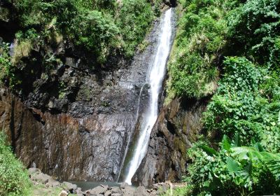 Fautaua Waterfall