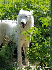 Wolf Sanctuary of PA