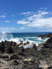 Lava Fields also by Hawaiians as Ke'one'oio.